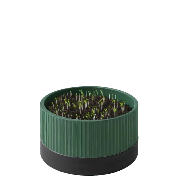 Handleiding ontkiemen