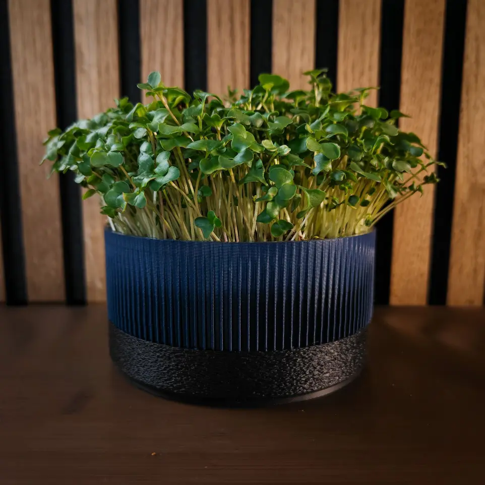 Marine - Black Ichi growkit