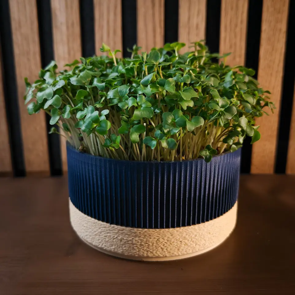 Marine - Sand Ichi growkit