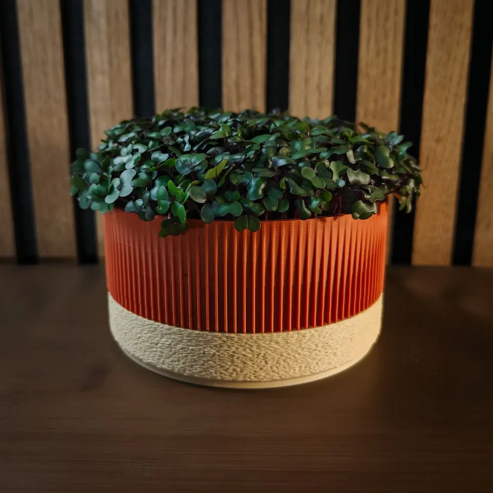 Terra - Sand Ichi growkit