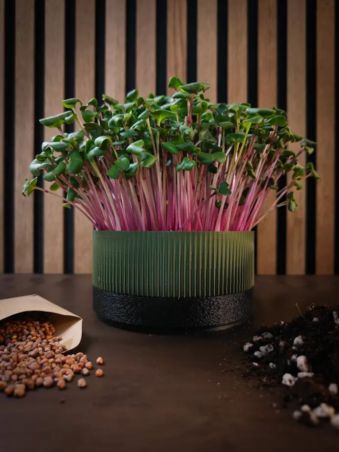 Overzicht Ichi growkit