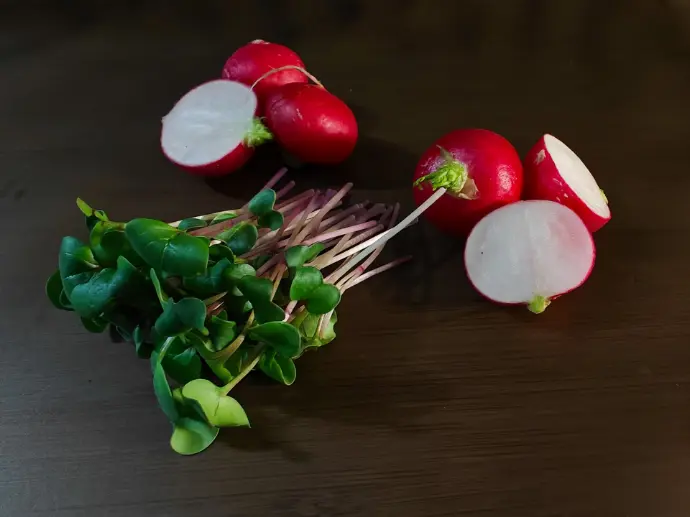 Microgroenen radijs