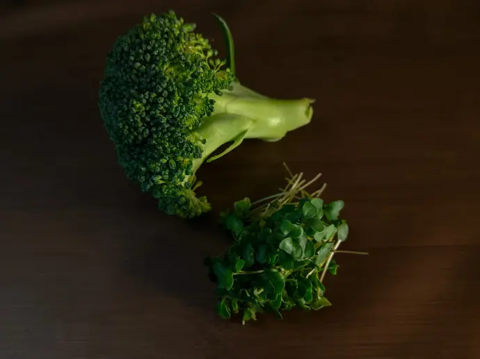 Microgroenen broccoli