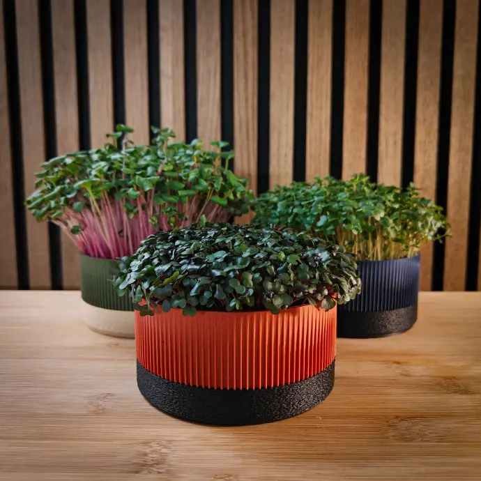 Overzicht Ichi growkits