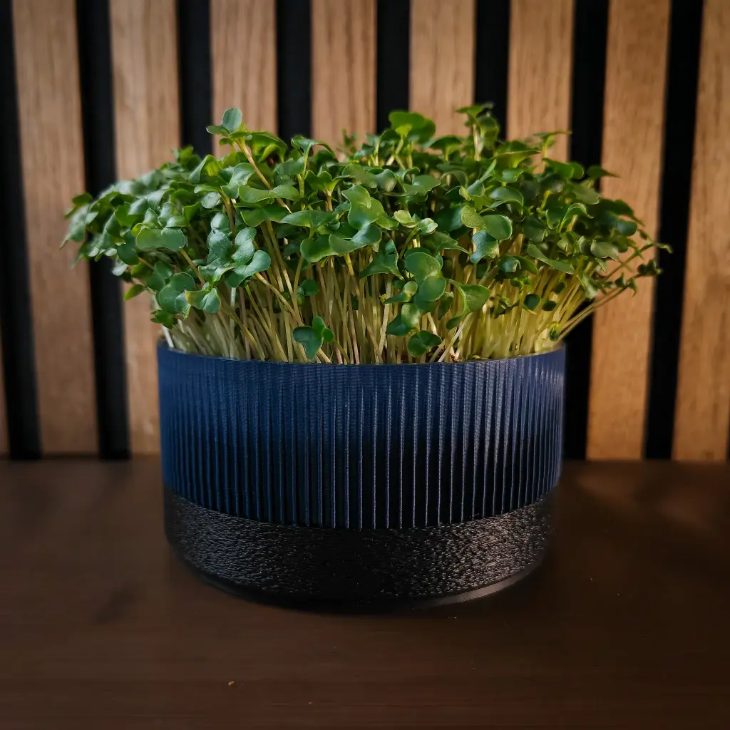 Growkit Ichi - Marine Black